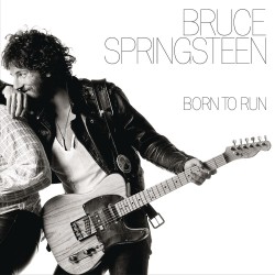BRUCE SPRINGSTEEN - BORN TO...